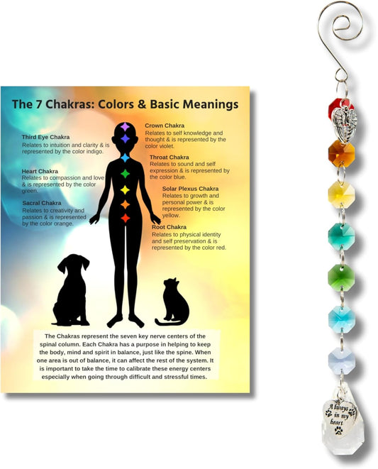 Pet Perennials Pet Memorial Suncatcher – Crystal Rainbow Prism with Angel Wings & Paw Print Charm – Cat and Dog Loss Gifts for Window Display – Memorial Ornament for Remembrance