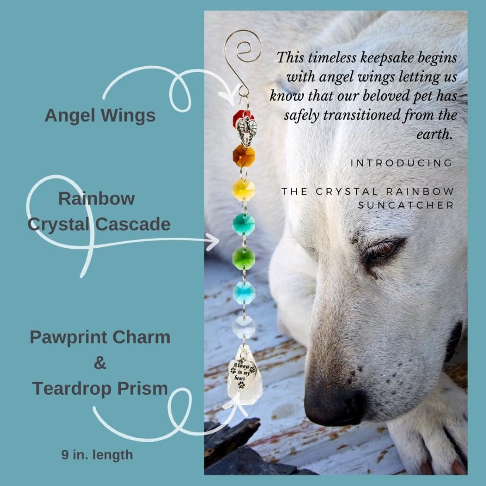 Pet Perennials Pet Memorial Suncatcher – Crystal Rainbow Prism with Angel Wings & Paw Print Charm – Cat and Dog Loss Gifts for Window Display – Memorial Ornament for Remembrance